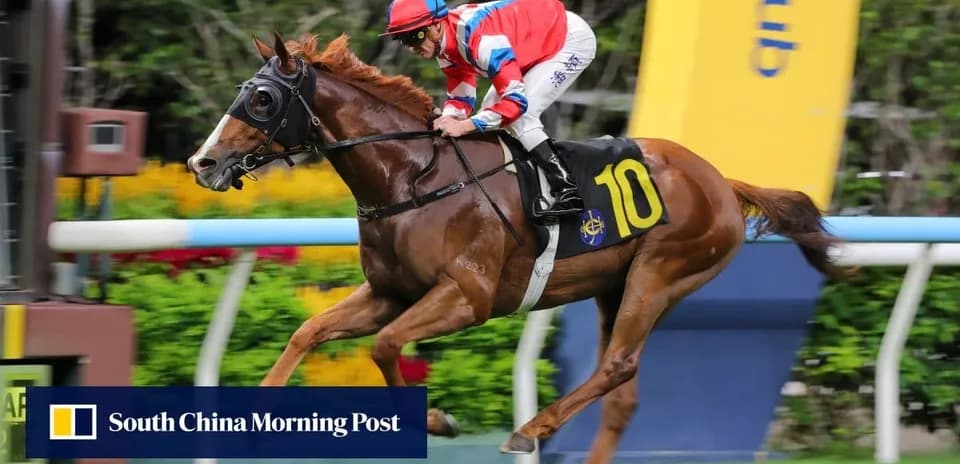 Jockey riding horse number 10 during race