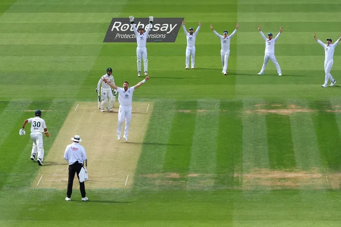 Bowler appeals as batsman prepares to run