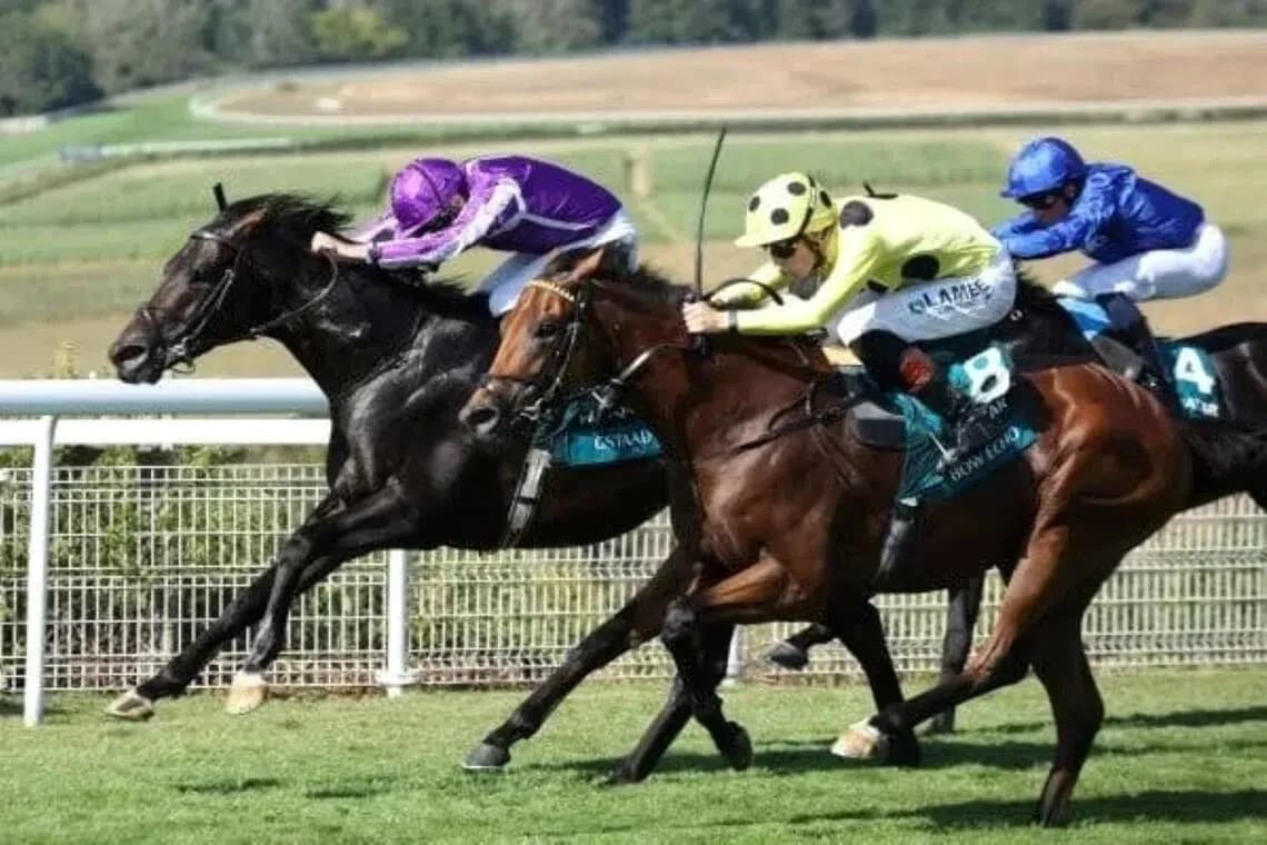 Three horses racing on a grassy track