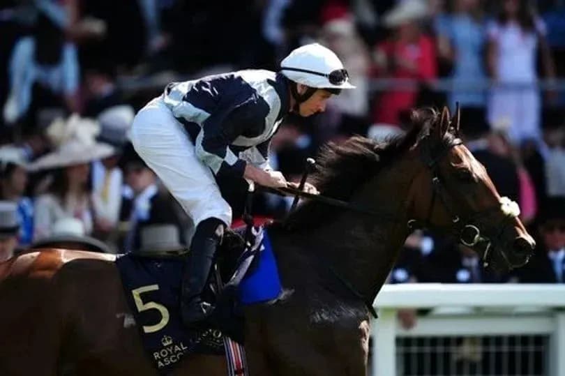 Jockey riding horse at Royal Ascot event