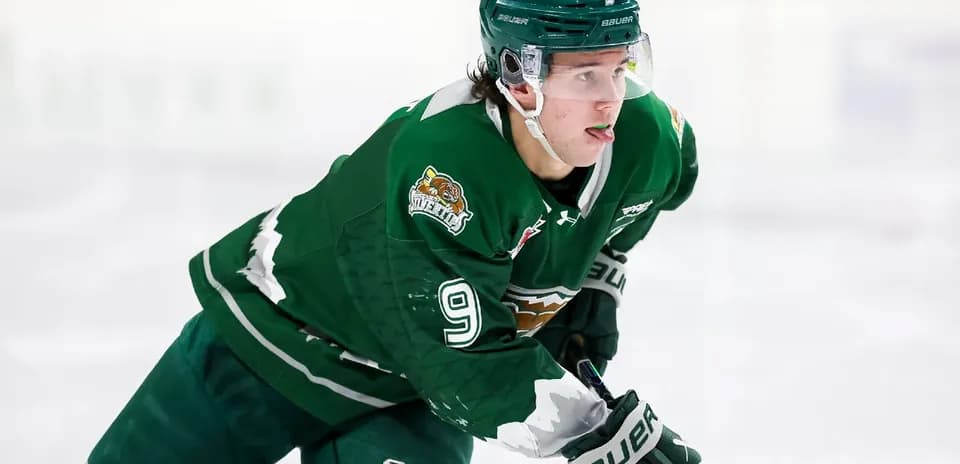 Hockey player skating on ice during game