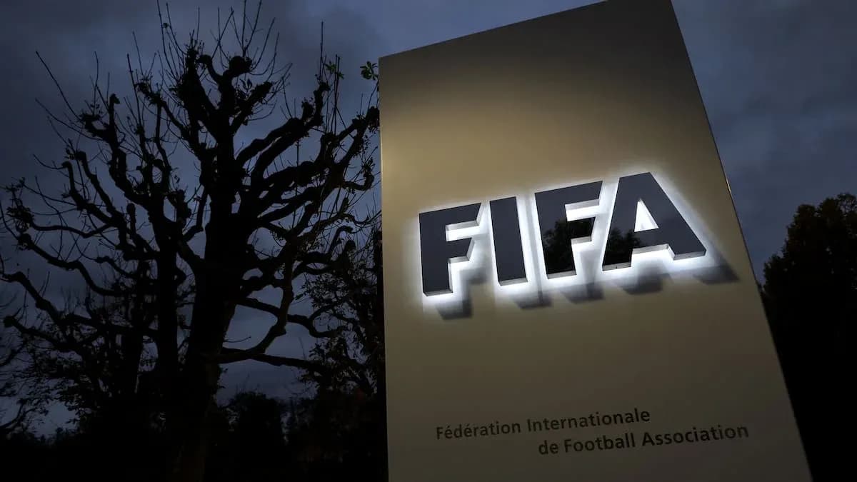 FIFA sign illuminated at night near tree FIFA sign illuminated at night near tree