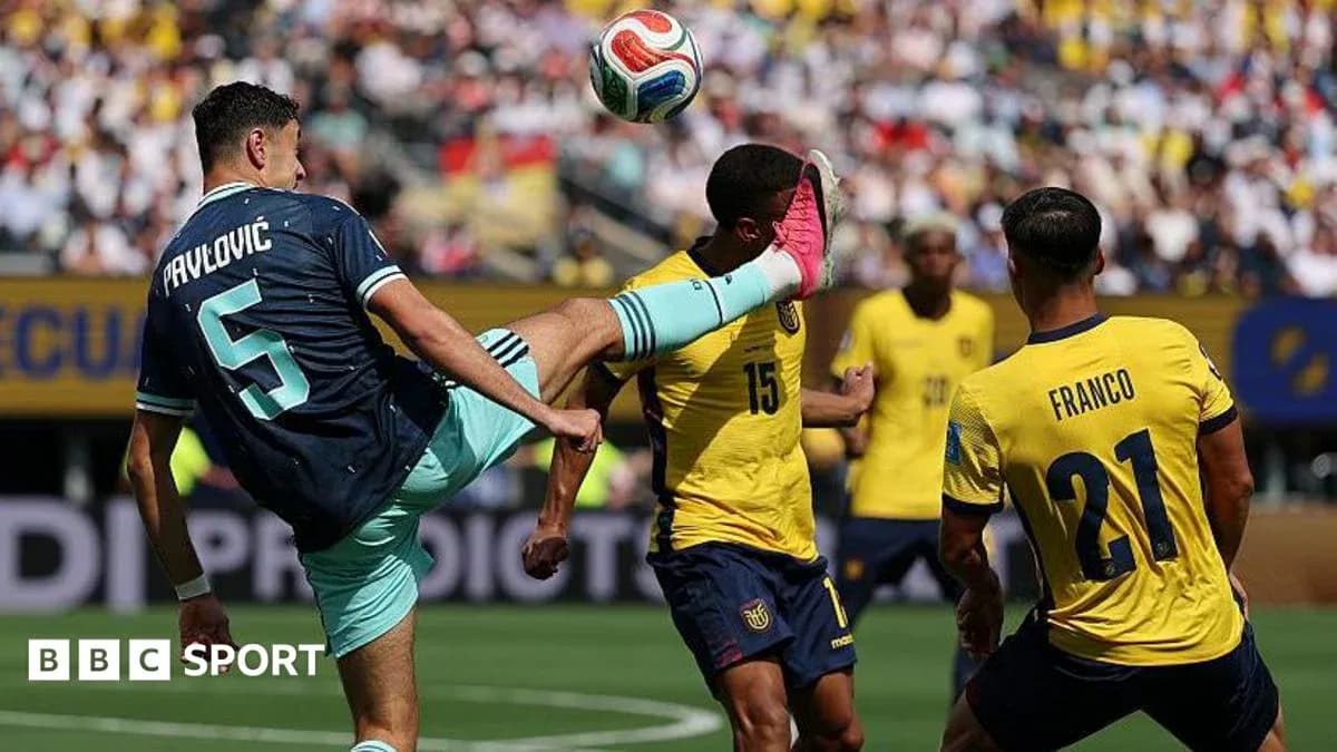 Pavlović kicking the ball during a football match Pavlović kicking the ball during a football match