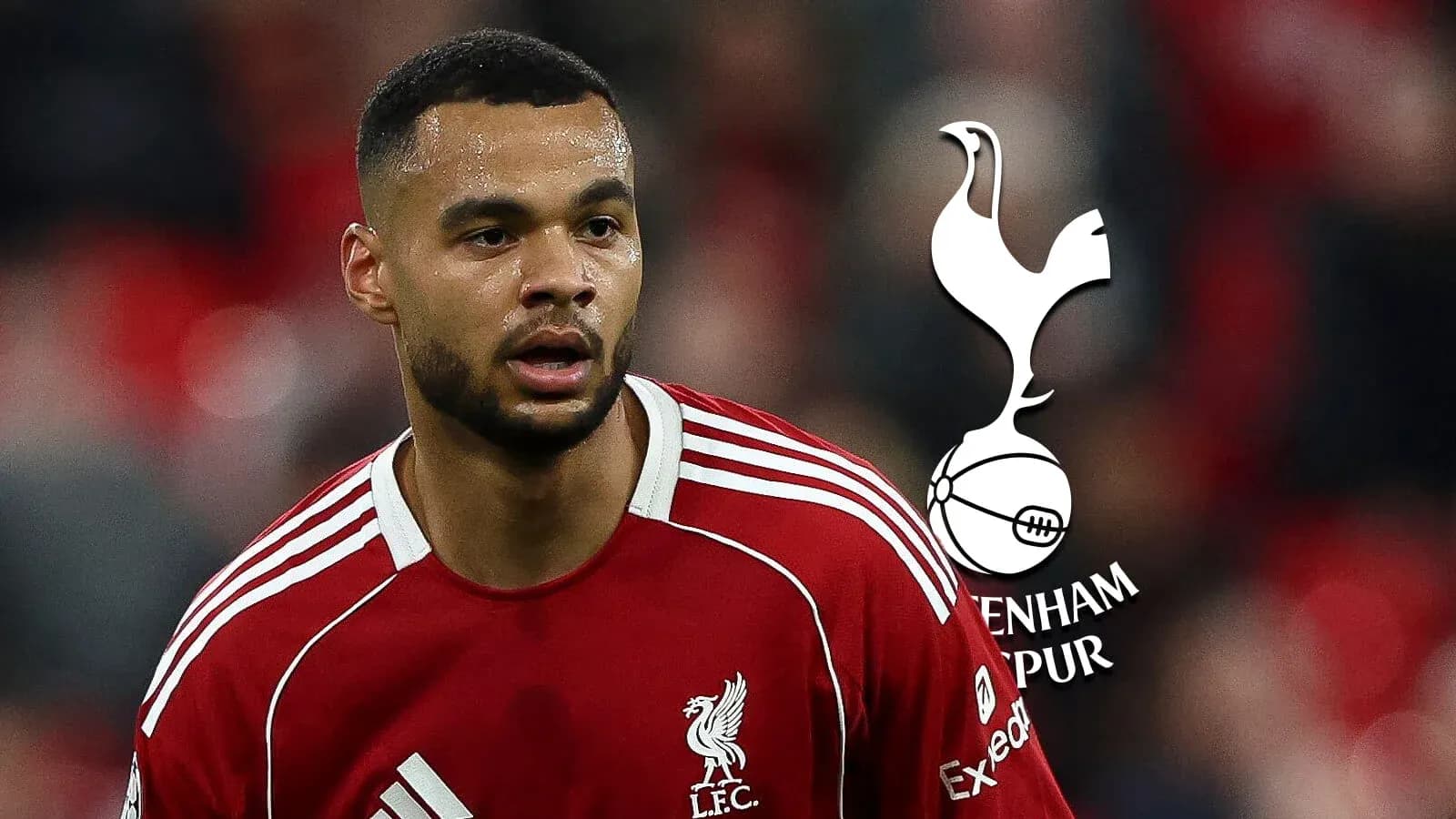 Futbolchi Liverpool formasida o'yin o'tkazmoqda Futbolchi Liverpool formasida o'yin o'tkazmoqda