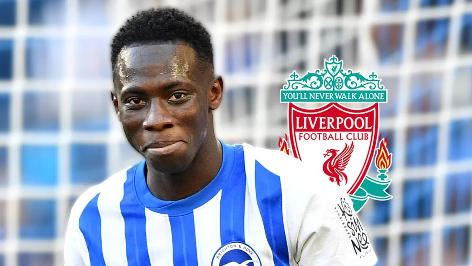 Futbolchi Brighton & Hove Albion futbolka kiygan Futbolchi Brighton & Hove Albion futbolka kiygan