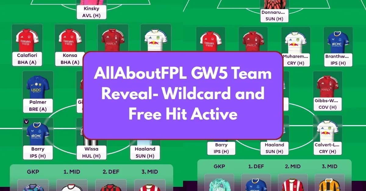FPL team lineup with wildcard and free hit active FPL team lineup with wildcard and free hit active